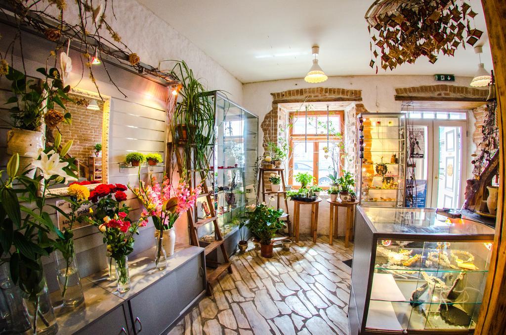 Beguta Guest House Haapsalu Buitenkant foto